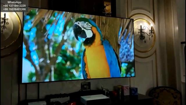 2018 Black Friday Double 11.11 Big Promotion: PET Crystal Ultra Short Throw Projection Screen