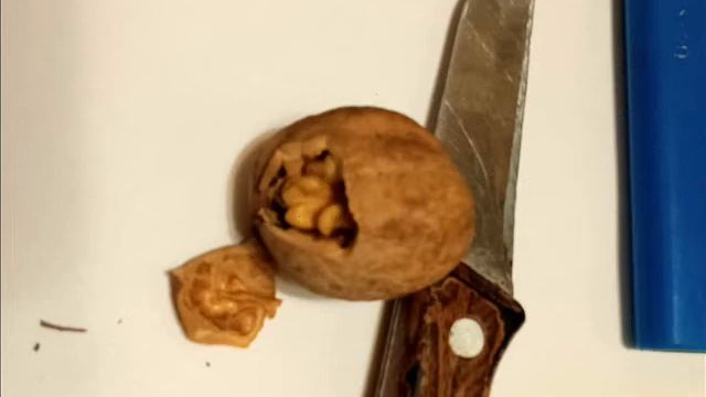 Очищаем грецкий орех без шума