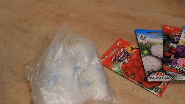 БАРХАТЦЫ БЕЗ ПИКИРОВКИ И БЕЗ ЗЕМЛИ ! РАССАДА ПО МОСКОВСКИ ! СУПЕР СПОСОБ !