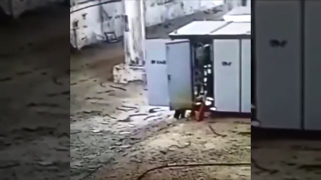 0727a8644a927e05449a317b19e1f8ab