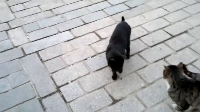 D2af895d9b3e8aae425cb911e4ae9a89