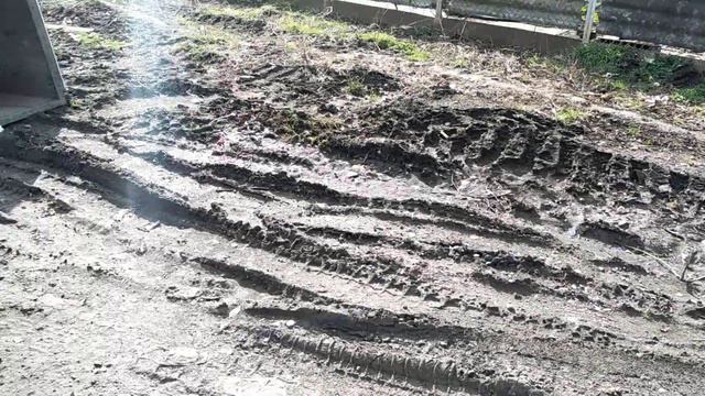 Проблемы возле двора динчанина