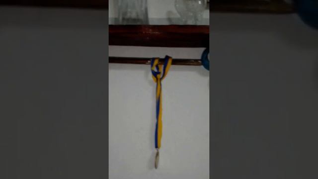 Медальница для сильных. Декупаж, работы по дереву. Олег и Анастасия Новиковы 