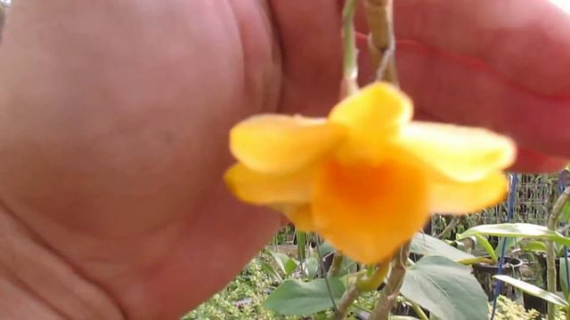 E01772480a545db26f0768eef8480306