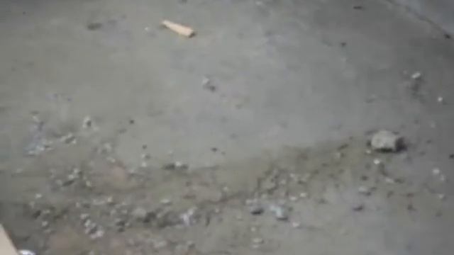 Вахтангова 39 отмостка. ч. 1.