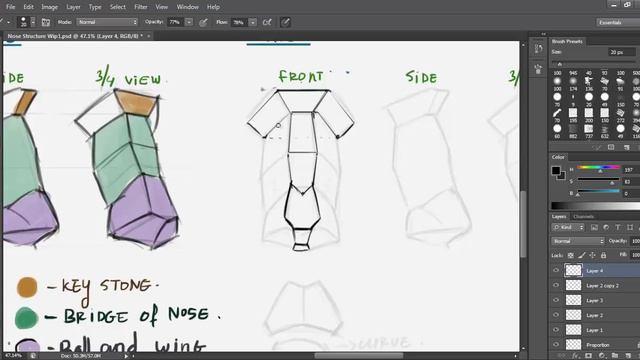 3-Part 1 Nose Structure