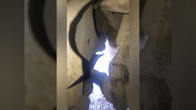 Машины и приключения в мире фей