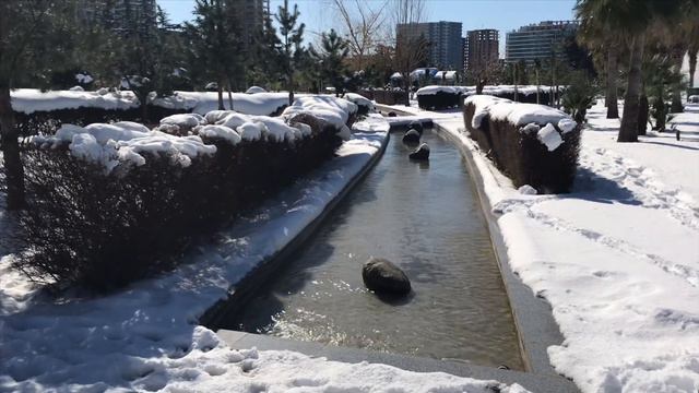 Батуми. Последствия снегопада . Гололед в Батуми. Кафе радио.