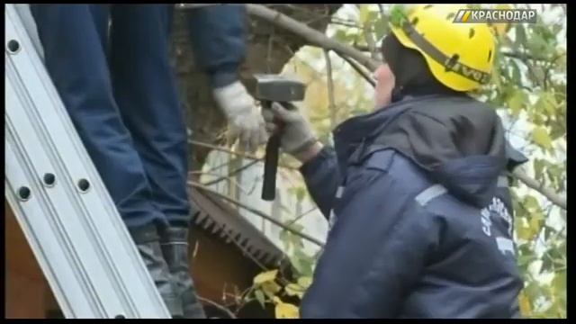 В Краснодаре демонтировали самовольно возведенный цветочный павильон