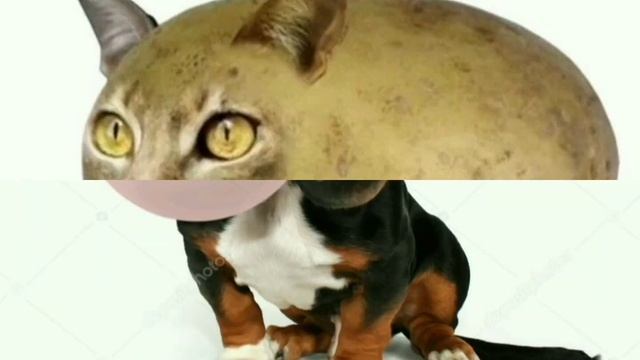 9dce37eeaaa5520ca3c0a497d07c076a