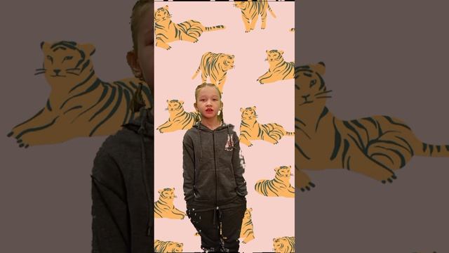 04e620a09a0405a1f02033889174f8c8