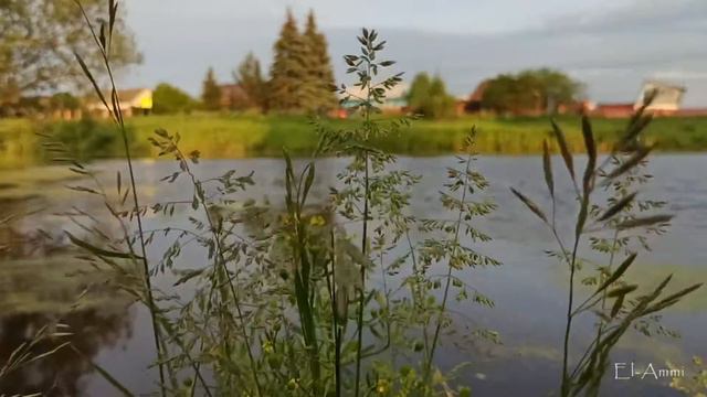 El-Ammi - Безответная любовь (Aynon Prod.) / 2016