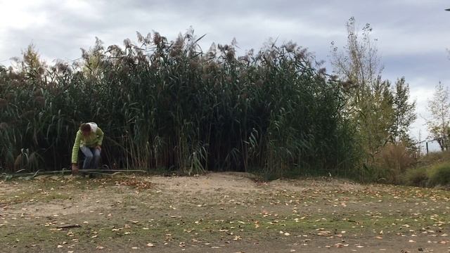 Декор из природных материалов