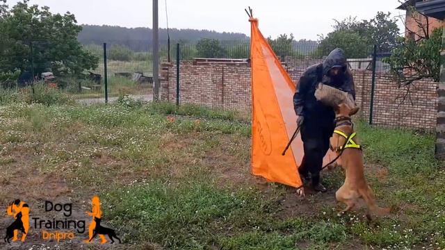 Малинуа, IGP тренинг, подготовка к защитному разделу, Raiders Spirit A'Ice