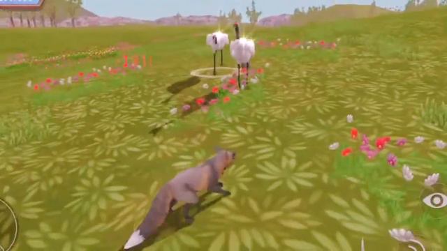 Помогите мне придумать какое видео мне сделать у меня просто не идей😩