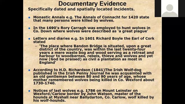 Wolves In Ireland By Kieran Hickey