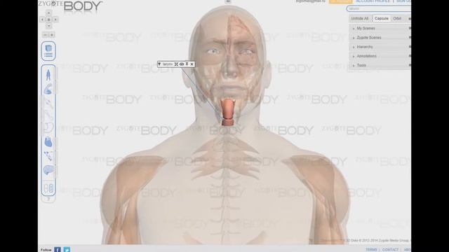Дети - счастливые мгновения нашей семейной жизни и счастья