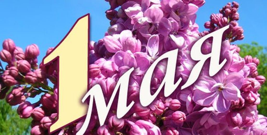 Домохозяйка