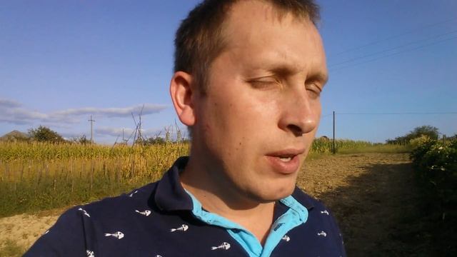УКРАИНЦЕВ ЗА ВОЛЫНЬ БЬЮТ В ГДАНЬСКЕ! РУССКИМ НЕ СМОТРЕТЬ, ЧТО Б НЕ БОМБИЛО.