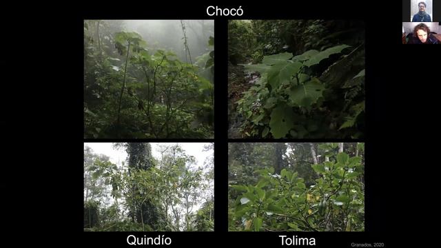 Federico Roda - Can Omics Uncover The Mysteries Of Angel's Trumpets?