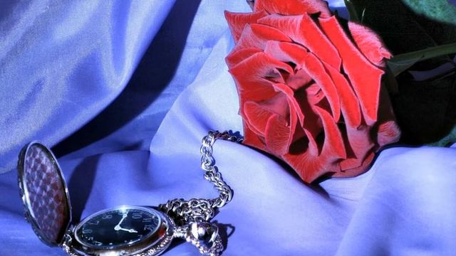 ПОЗДРАВЛЯЮ С ДНЕМ РОЖДЕНИЯ!.mp4