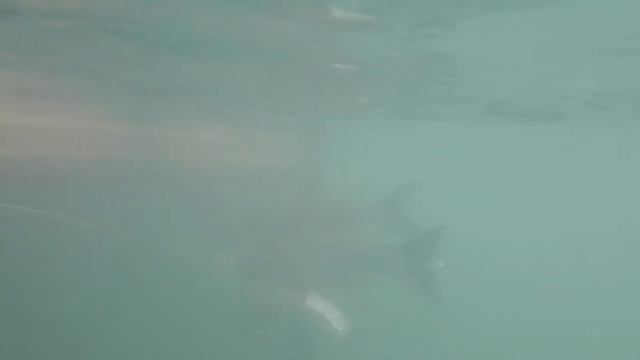 411bbb73372c21728a28efad0634896f