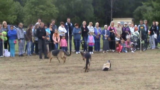 Кемери выступление 4