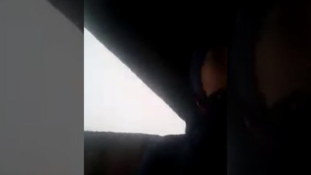 как помогло утепление курятника