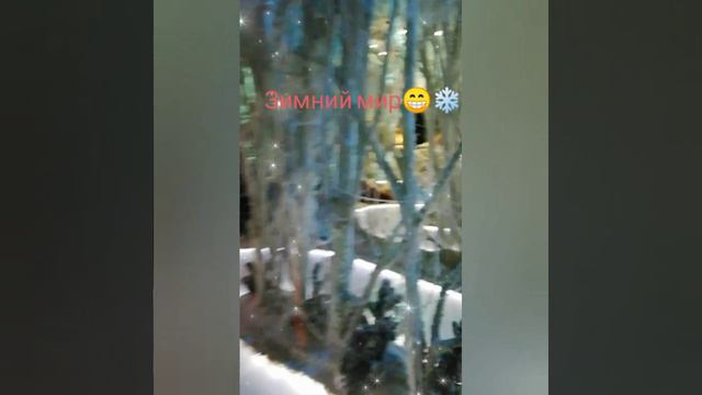 Партал в шкафу