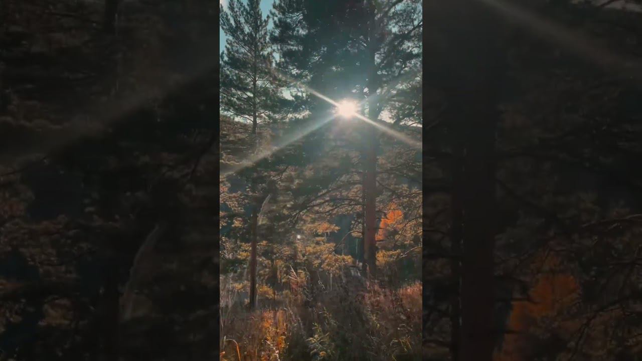 Завораживает