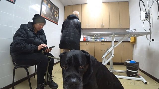 МЫ ПРОДОЛЖАЕМ ИСКАТЬ ПУТИ ЛЕЧЕНИЯ! СЪЕЗДИЛИ В ДРУГУЮ КЛИНИКУ НА ГИСТОЛОГИЮ....