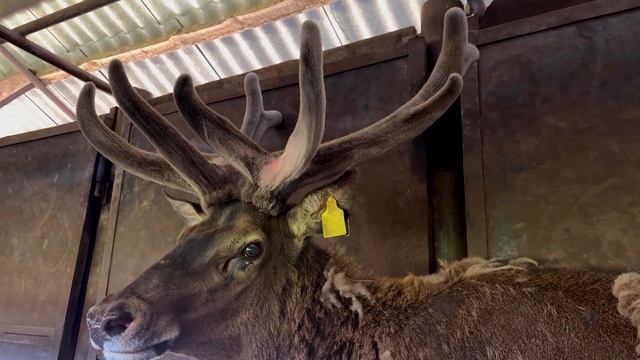 Мир Морских Обитателей