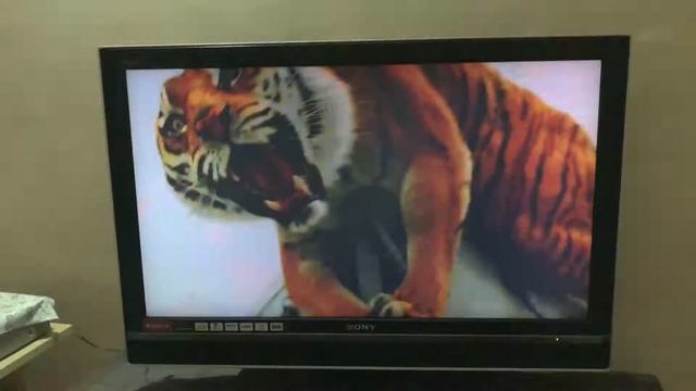 Amazon Fire Stick - Unboxing, Set Up, Apps, Accessories, Review