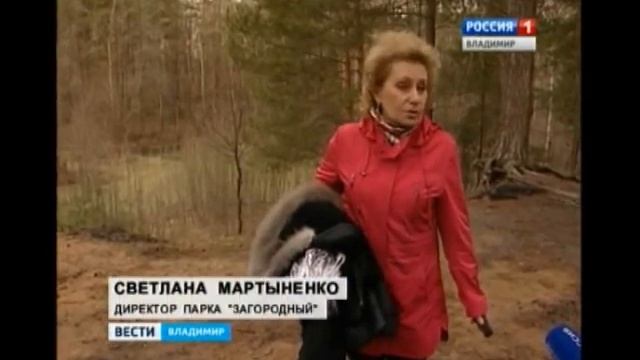 Правила пребывания в Загородном парке Владимира ужесточаются