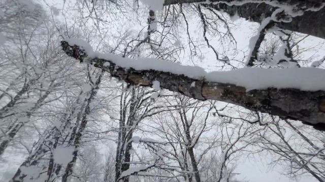 120 КАДРОВ В КРАСНОЙ ПОЛЯНЕ С DJI ACTION 2 // 120P  IN KRASNAYA POLYANA WITH DJI ACTION 2