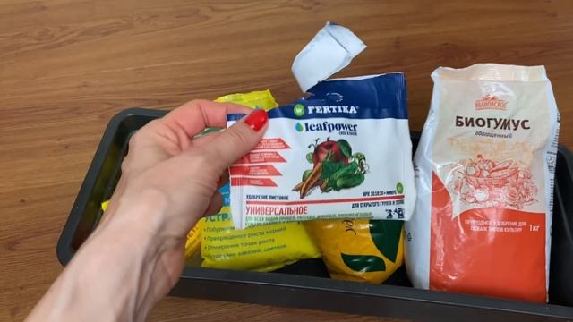 Чем я кормлю свои петунии для пышного и долгого цветения. Схемы подкормок