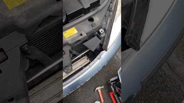 Рулевая страсть