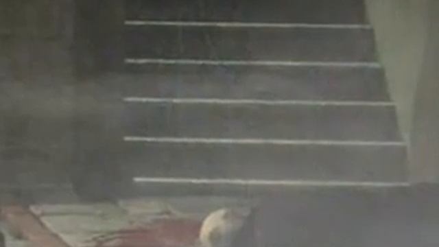 The Mysterious Case Of Dr. Jekyll & Mr. Hyde (DS)