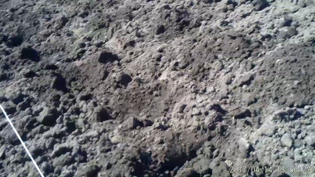 Сажаем картошку по очень шикарному методу. Экспериментальная грядка.