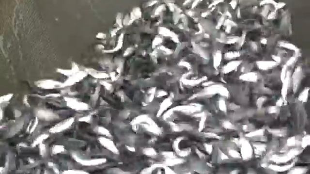 О хлебе насущном 10.03.17