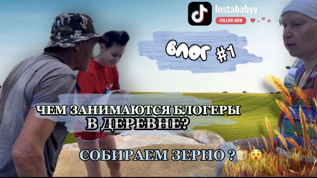 УТРО В ДЕРЕВНЕ/собираем зерно/ как узнали, что у нас украли деньги