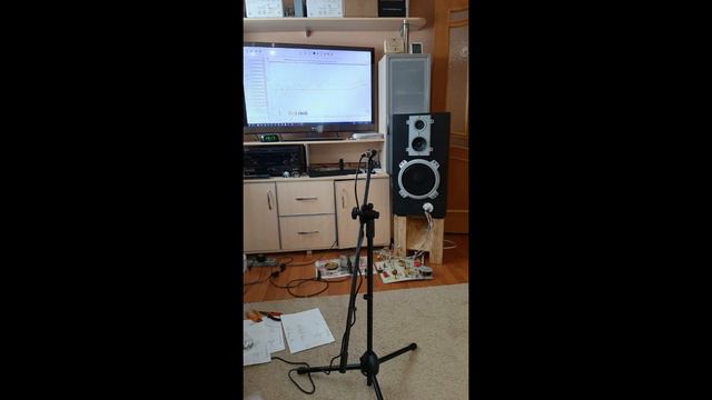 35АС-018 Амфитон на LAS C авторским фильтром