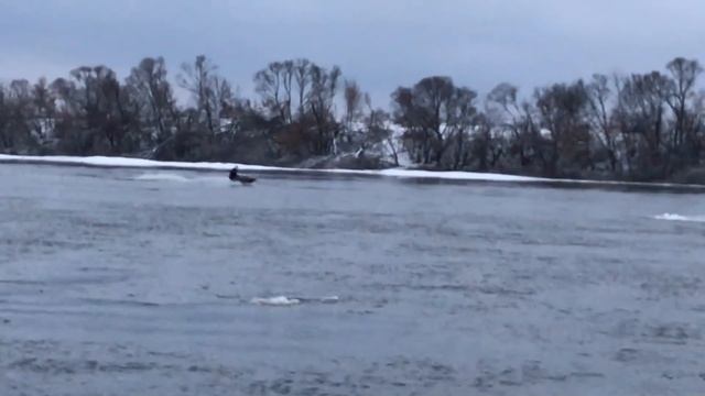 ОЗ Ривер - Встречаем ЗИМУ на Оке