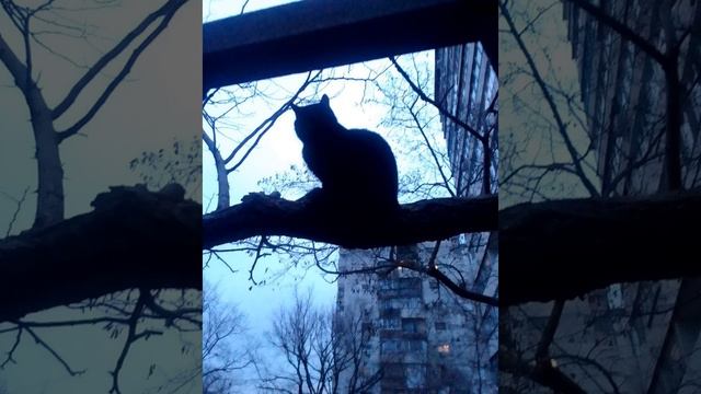 Время есть...