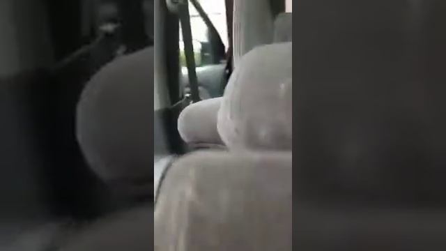 Автомобильные страсти