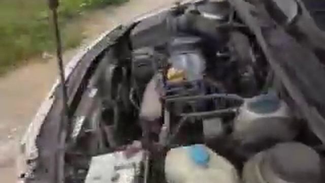 Полный Путь к Победе