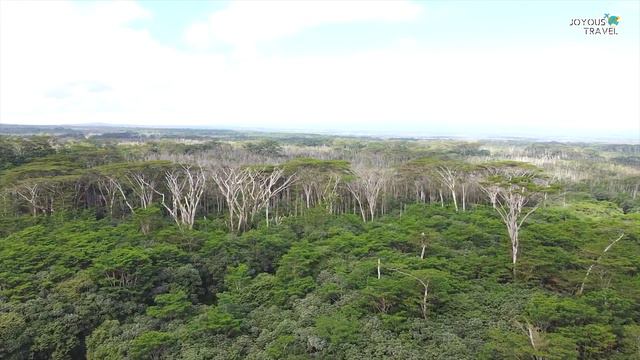 Amazing Natural Places To Visit In USA - Travel Video