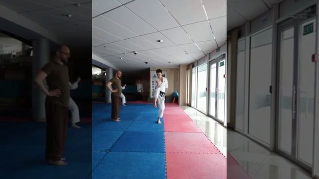 Хэйан Нидан - Heian Nidan - разбор ката
