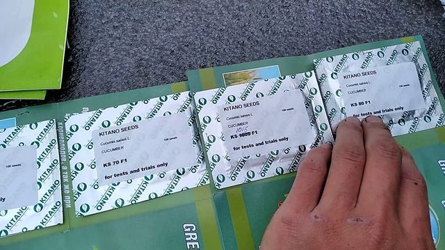 Начало огуречного сезона