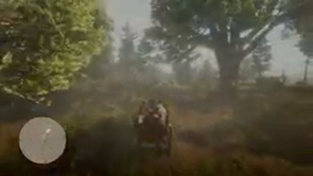 PS4 | Read Dead Redemption 2 | 2я миссия и легендарный гризли